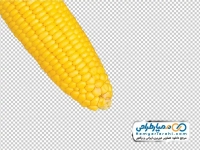 تصویر بدون پس زمینه ذرت بدون پوست