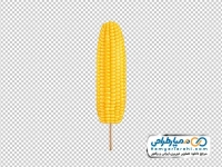 تصویر وکتوری ذرت بدون پوست