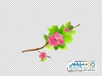 تصویر png شاخه گل های بهاری