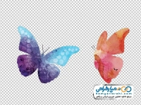تصویر وکتوری پروانه با فرمت png