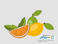 عکس وکتوری لیمو و پرتقال