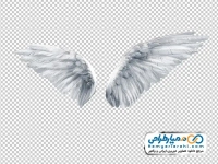 تصویر با کیفیت بال