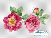 تصویر نقاشی هنری گل های قرمز