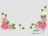 تصویر وکتوری کادر گل رز سفید و صورتی