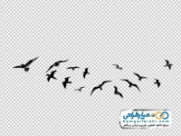 عکس وکتوری کبوتران در حال پرواز