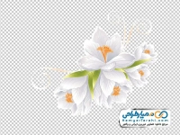 تصویر وکتوری گل های سفید بهاری