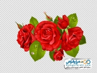 تصویر وکتوری گل رز قرمز با قطرات شبنم
