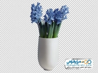 عکس با کیفیت گلدان گل سنبل