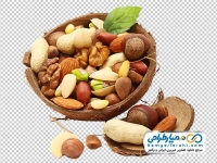 عکس png مغز آجیل در پوسته نارگیل