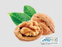 تصویر png گردو