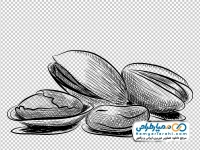 نقاشی سیاه و سفید پسته