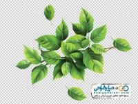 تصویر وکتوری شاخه پر برگ