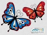 تصویر وکتوری پروانه خوشرنگ و زیبا