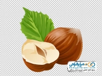 عکس وکتوری فندق