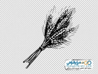 آیکون خوشه گندم