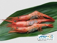 تصویر png شاه میگو