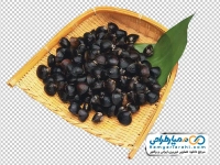 تصویر بدون پس زمینه صدف