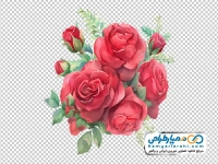 عکس وکتوری گل های محمدی آبرنگی