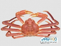 تصویر با کیفیت خرچنگ