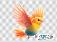 تصویر وکتوری پرنده رنگارنگ