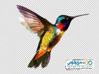 تصویر وکتوری پرنده اسلیمی (مرغ مگس خوار)