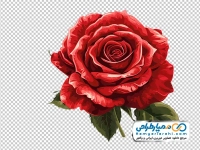 تصویر png گل رز قرمز با هوش مصنوعی