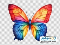 نقاشی پروانه رنگارنگ و زیبا
