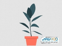 عکس وکتوری گلدان آپارتمانی