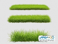 تصویر بدون پس زمینه چمن