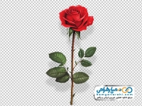 تصویر وکتوری شاخه گل رز با شدو