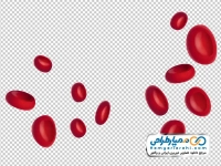 تصویر وکتوری گلبول قرمز خون