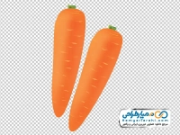 تصویر وکتوری هویج