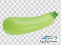 تصویر وکتوری کدو سبز