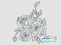 تصویر با کیفیت گل های سیاه و سفید