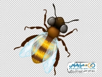 تصویر png زنبور عسل کارتونی