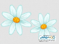 تصویر png گل سفید وکتوری