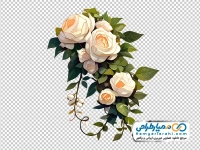 تصویر png شاخه گل رز سفید