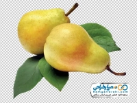 تصویر با کیفیت گلابی