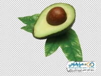 تصویر با کیفیت آواکادو