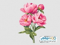 عکس وکتوری دسته گل آبرنگی به رنگ صورتی