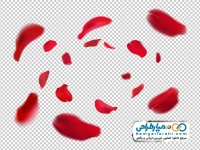 عکس png گلبرگ های قرمز