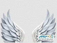 تصویر png بال پرنده