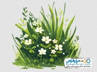 عکس png حاشیه گل های چمنی