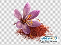 تصویر با کیفیت گل زعفران