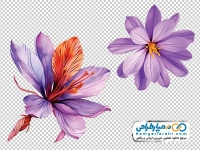 تصویر png گل زعفران