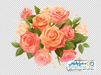 دانلود تصویر png گل های رز باغی