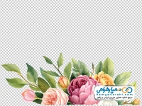 تصویر png گل بوته آبرنگی