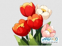 تصویر نقاشی گل های لاله با فرمت png