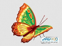 تصویر وکتوری پروانه رنگارنگ