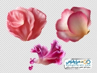 تصویر png گل وکتوری